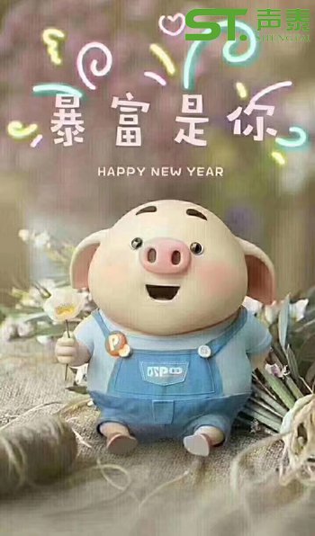 聲泰(佛山）全體員工恭祝大家2019新春快樂(圖7)